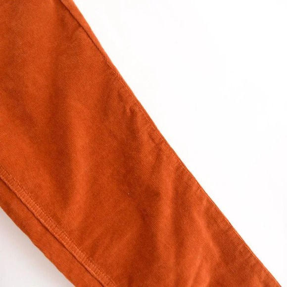 We The Free  Burnt Rust Corduroy Mid-Rise Autumn Skinny Pants 27 - Picture 9 of 15
